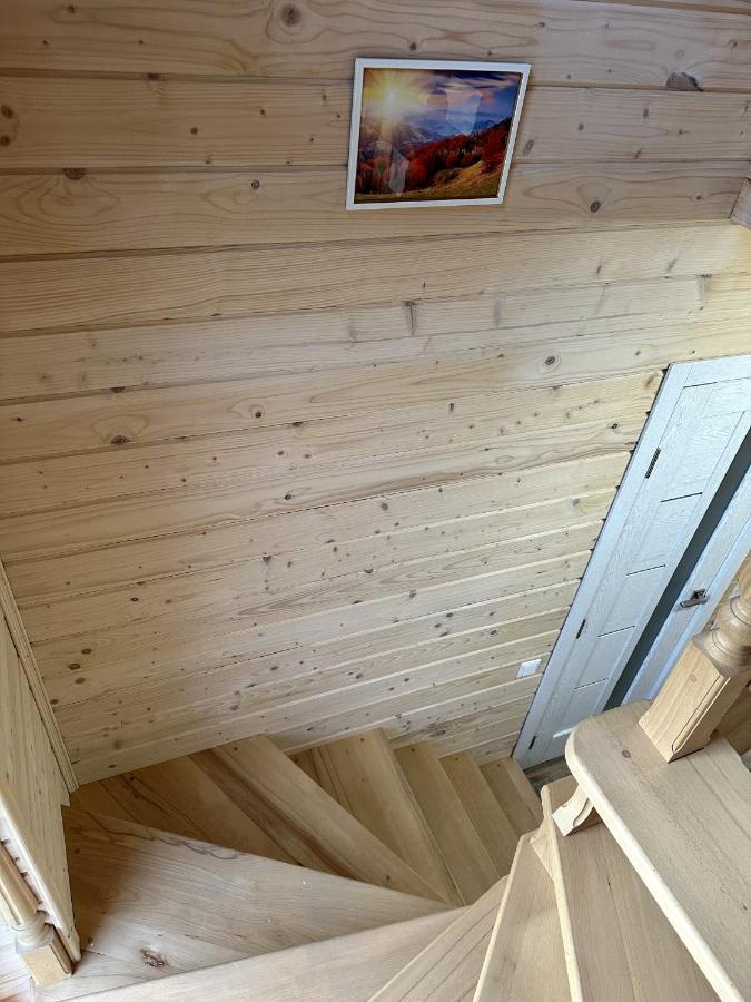Carpathian Dream Apartments Yaremche Exterior photo